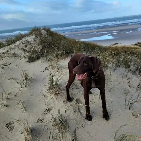 Appartement Belle Dune Village Face à L'aquaclub De Mahon *